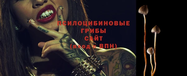 винт Алзамай